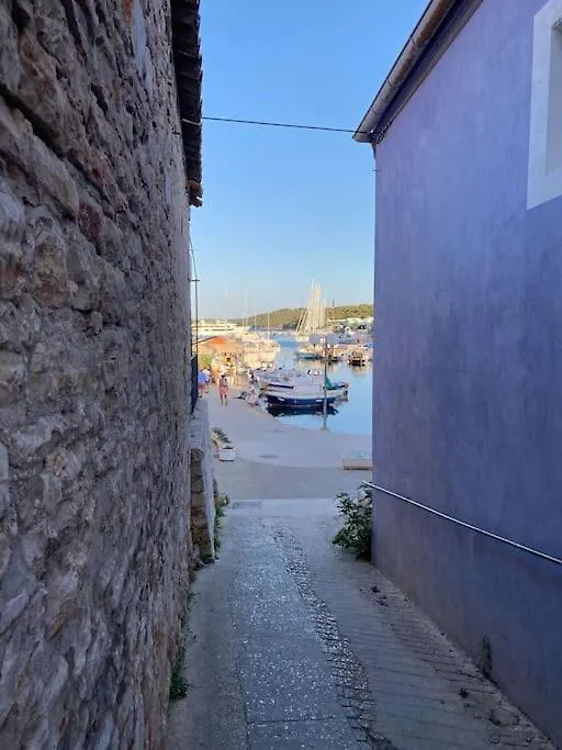 Adriatic Nest Apartment Sali